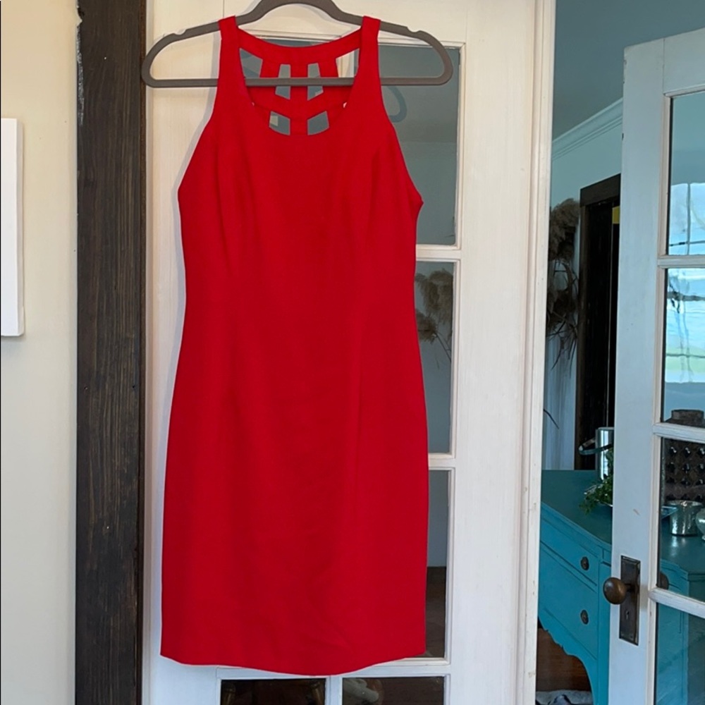 Red Rex Lester dress